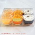 ゼリー3種詰め合わせ 6個入り jelly-assort-6 6