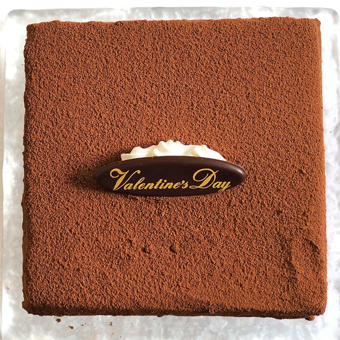 土柱ショコラ 4号 12×12cm dochu-4  4