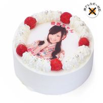 アレルギー対応 卵不使用 写真ケーキ ラズベリー デコレーション 生クリームショートケーキ 4号 12cm cream-4-p-noegg