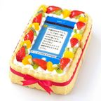SNS風メッセージプリント ビスキュイ付フレッシュフルーツ乗せ生クリームショートケーキ 22×14cm messagecake 2