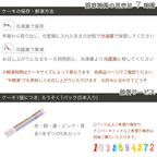 SNS風メッセージプリント ビスキュイ付フレッシュフルーツ乗せ生クリームショートケーキ 21×14cm messagecake 9