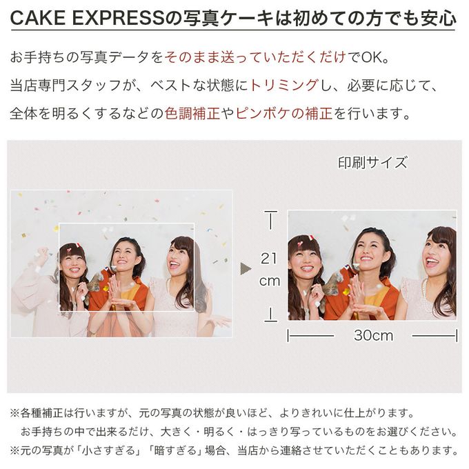 写真ケーキ スクエア型 ビスキュイ付フレッシュフルーツ乗せ生クリームショートケーキ 37×28cm square-12-p2 9