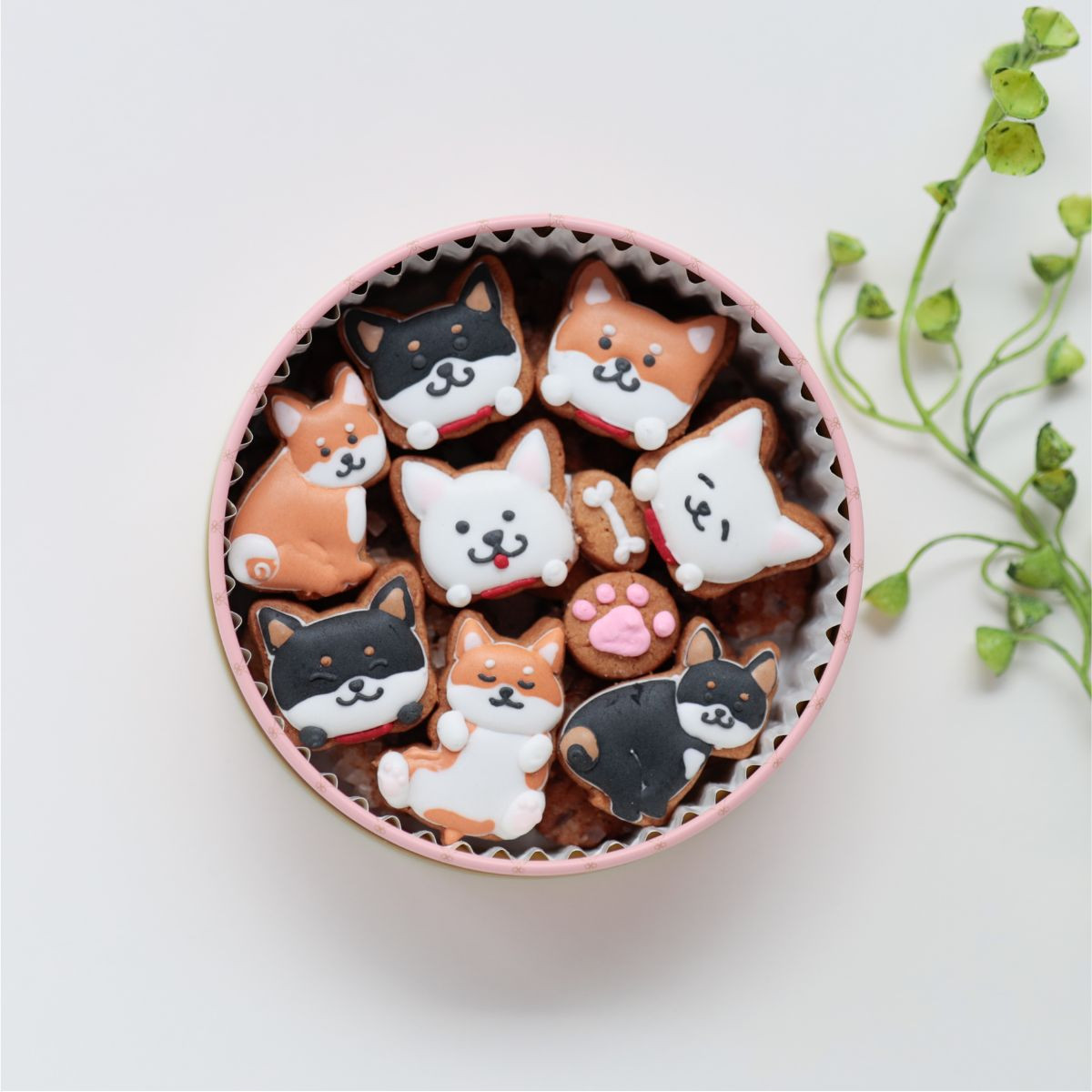 ラッピング済み】柴犬ver☆カラフルで可愛い☆アイシングクッキー