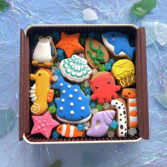 204270362767ff486d978702025041