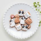 フレブルver★カラフルで可愛い★アイシングクッキー＆ザクザククッキー缶 2