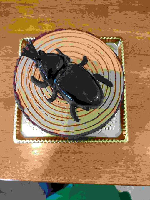 かぶとむしケーキ15cm 3