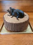 かぶとむしケーキ15cm 1