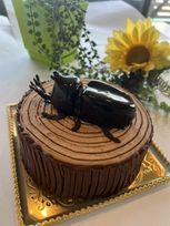 かぶとむし立体ケーキ15cm