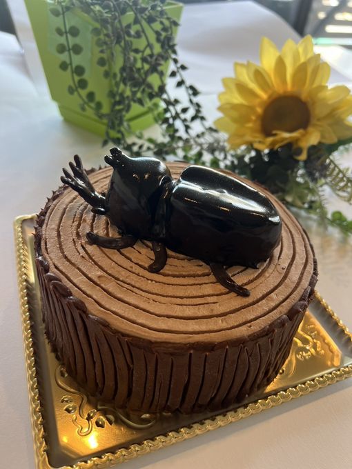 かぶとむし立体ケーキ15cm 1