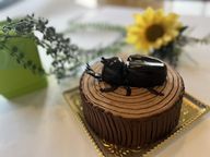 かぶとむし立体ケーキ15cm 2