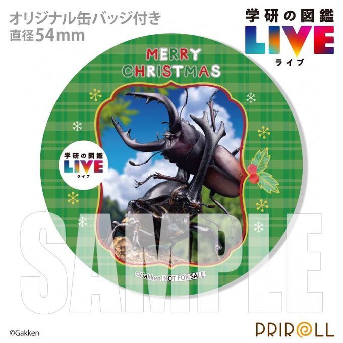 Xmasプリケーキ（昆虫）【特典缶バッジ付き】[学研の図鑑LIVE]5号 15cm 3