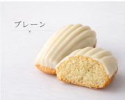 【ホワイトデー限定】ホワイトチョコがけマドレーヌ 3種6個セット（プレーン・柚子・ミルクティー）ホワイトデー２０２６ 3