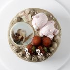 クマさんといちごの写真ケーキ(^^♪ チョコ生クリーム 6号 1