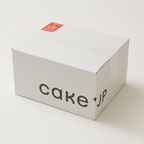 【記号A、Q】梱包5点100セット 4-5号 6