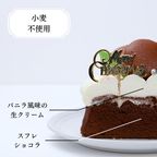 ノエルガトーショコラ 4号 12cm クリスマス2025 2