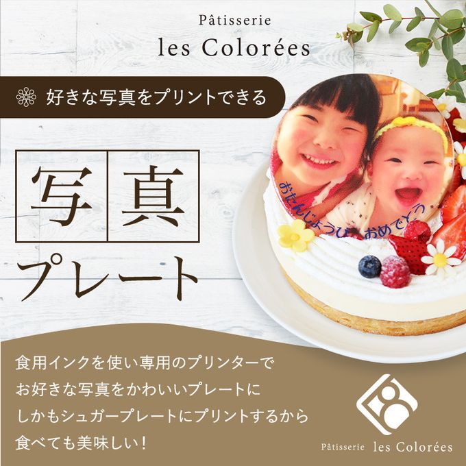 写真ケーキ ショコラトリオ 3号 8cmx9cm【パティスリーレコロレ】 6