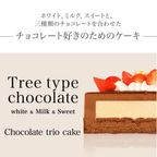 写真ケーキ ショコラトリオ 4号 12cm 2
