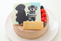写真ケーキ W生チョコクリームデコレーション 6号 18cm 3