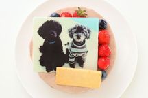 写真ケーキ W生チョコクリームデコレーション 4号 12cm 2