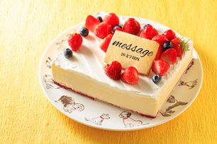 低糖質ケーキ 砂糖不使用！ レアチーズ 17×13.5cm 5.5号