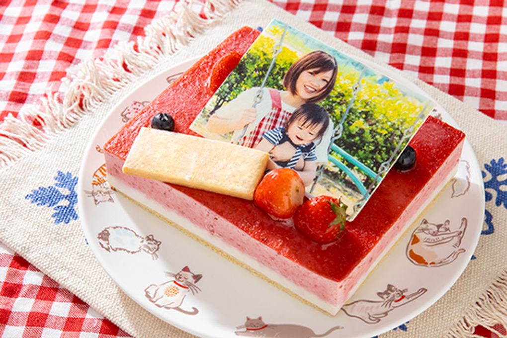 低糖質ケーキ 写真ケーキ 苺ココナッツ 17×13.5cm 5.5号 1