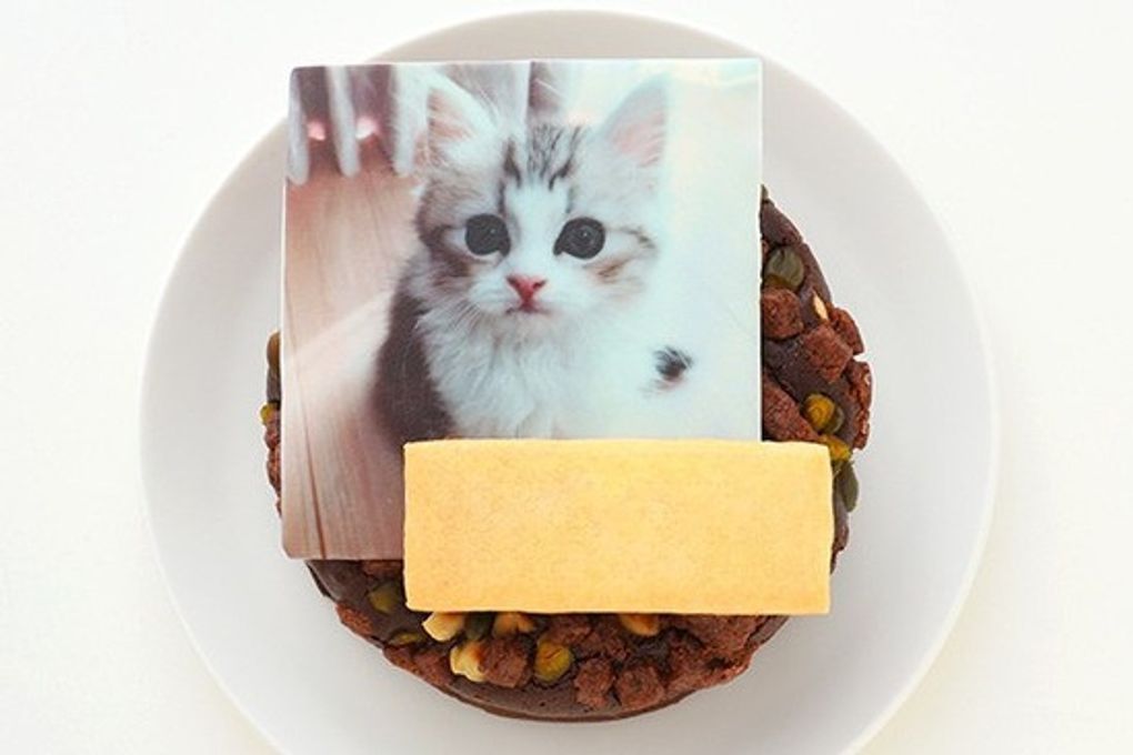 写真ケーキ ナッツたっぷり しっとりガトーショコラ 4号 12cm 2