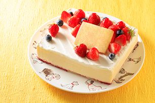 低糖質ケーキ 砂糖不使用！ レアチーズ 13.5×11cm 4.5号