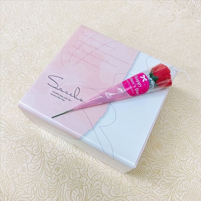 名古屋風 生クリーム苺大福 8個入   母の日2026 6