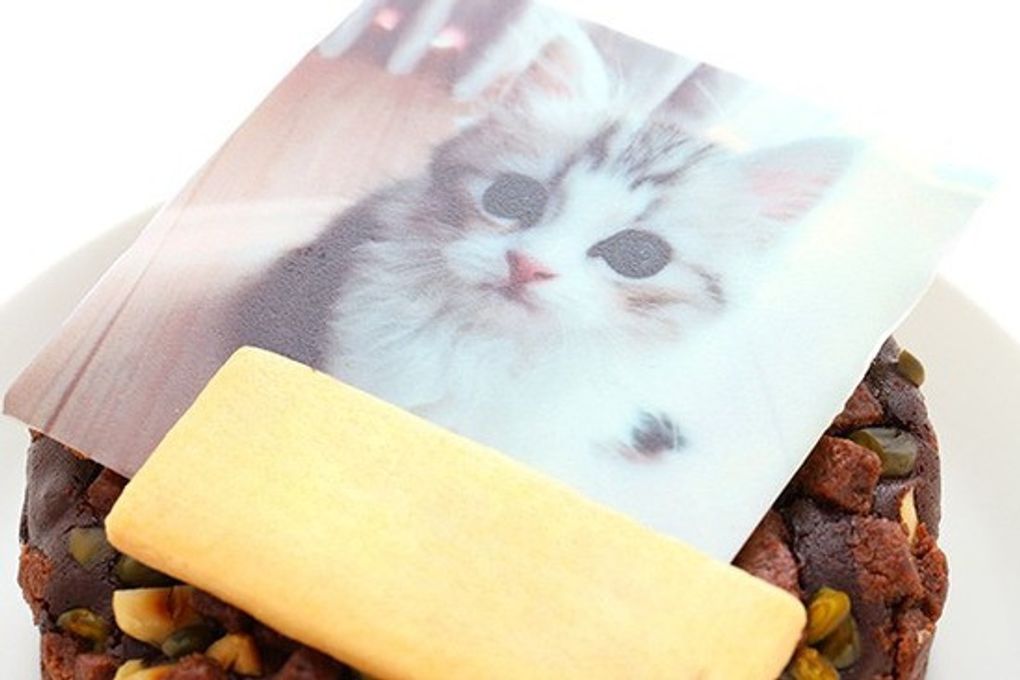 写真ケーキ ナッツたっぷり しっとりガトーショコラ 4号 12cm 5