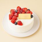 無添加 生デコ 苺たっぷりデコレーション 6号 18cm 1