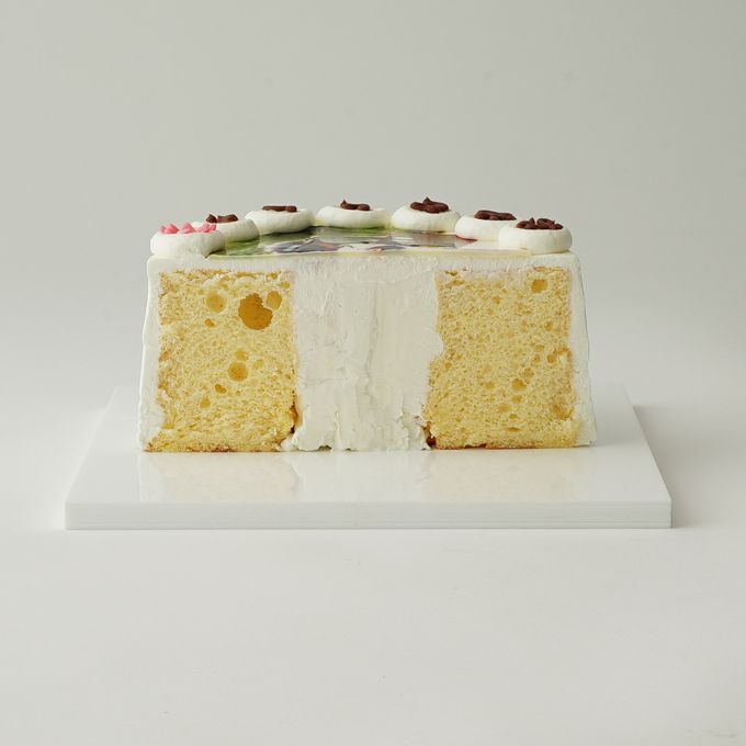 https://assets.cake.jp/bp/satueigazou/20190717flashpark/10806x3384109/10806x3384109x6.jpg 6