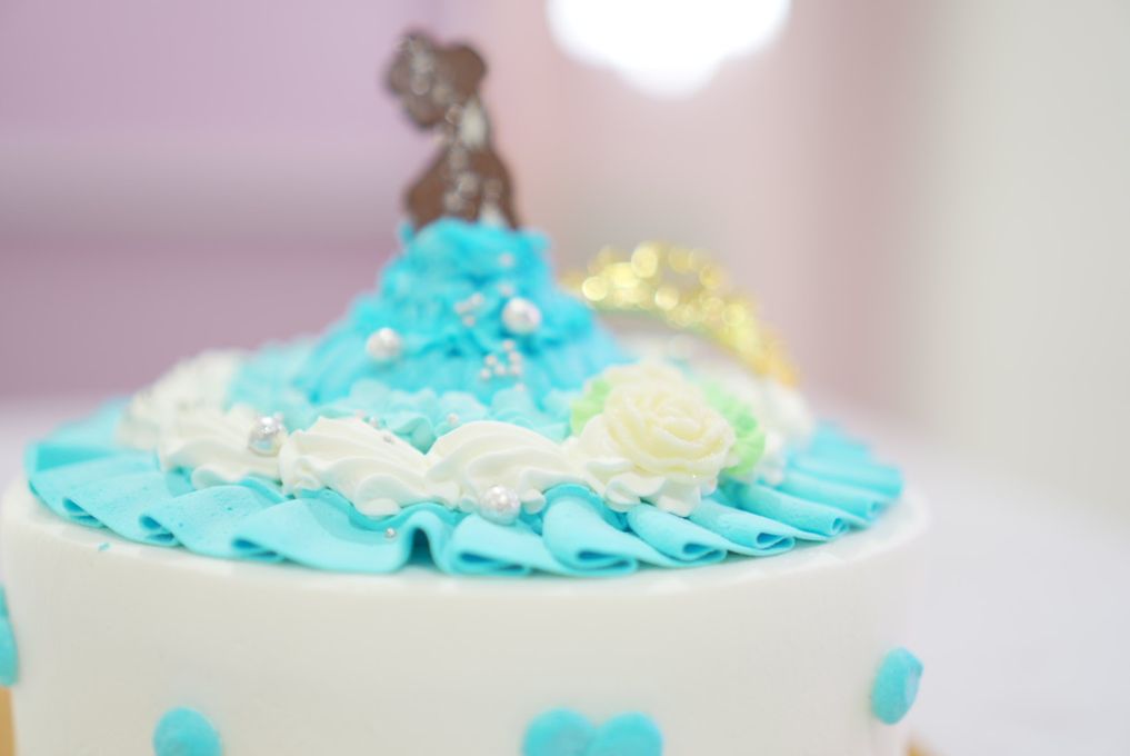 【選べる４色】プリンセス・ドレスケーキ ５号 10