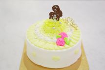 【選べる４色】プリンセス・ドレスケーキ ５号 7