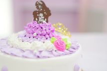 【選べる４色】プリンセス・ドレスケーキ ５号 6
