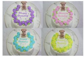 選べる4色！くまちゃんのローズセンイルケーキ5号