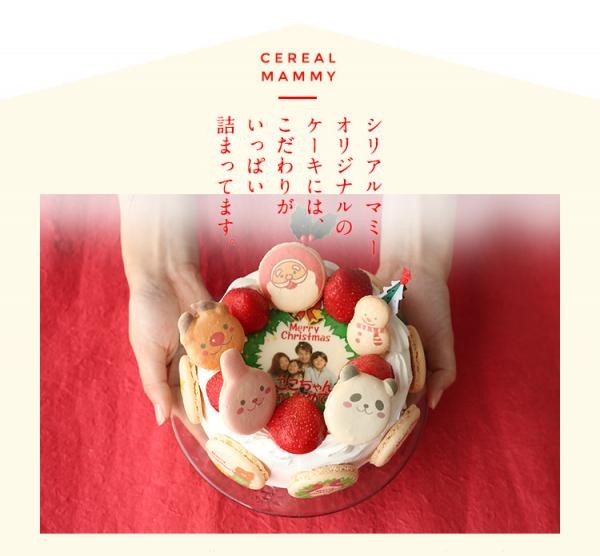 ケーキ クリスマス メリーゴーランド 5号 サンタ マカロン （シリアルマミー） | Cake.jp