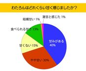 訳あり わたろん 20個入り アウトレット 4