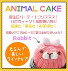 2023限定 ケーキ 動物 立体動物ケーキ アニマルケーキ（うさぎ、とら、ねこ、くま） 4個セット  4
