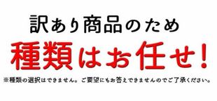 訳あり わたろん 20個入り アウトレット 3