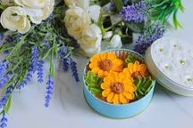お花のぼうろ『コスモス＆ヒマワリ2缶セット』～専用クリアケース・リボンラッピング付き 3