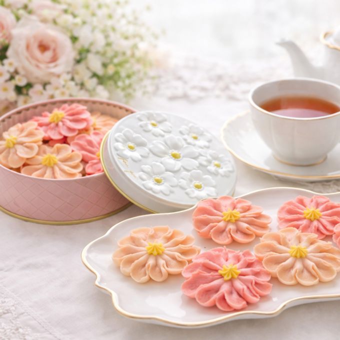 花咲く焼菓子「お花のぼうろ（コスモス）」3缶セット｜オリジナル紙袋を3枚｜母の日2026 1