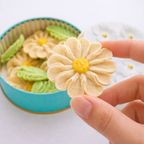花咲く焼菓子「お花のぼうろ」2缶詰合せ｜コスモス・マーガレット｜専用クリアケース付き｜母の日2026 3