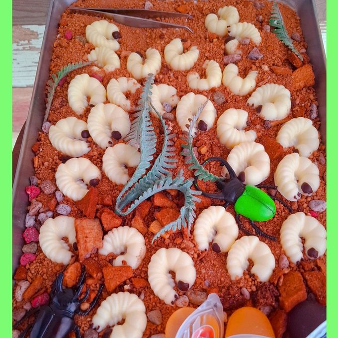 キャー！！幼虫カップ(⌒∇⌒) ６個セット 2