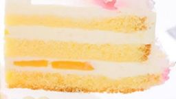 夏季限定！花火のチョコドリップセンイルケーキ 5号 4