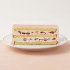 想いを伝える花言葉センイルケーキ(オレンジ) 梅 「美と長寿・気品・寛容」  5