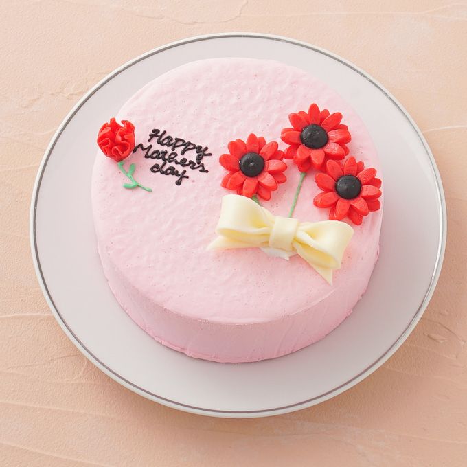 想いを伝える花言葉センイルケーキ(ピンク) 赤いガーベラ 「希望・前向き・幸せな家庭」 母の日2024 2