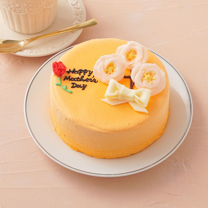想いを伝える花言葉センイルケーキ(オレンジ) 梅 「美と長寿・気品・寛容」  1