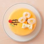 想いを伝える花言葉センイルケーキ(オレンジ) 梅 「美と長寿・気品・寛容」  4