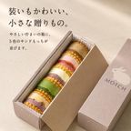 サンドもっち 5個ボックス〈おもち専門スイーツMOTCH〉うさぎ バターサンド クッキーサンド おもち 餅 お中元2026    5