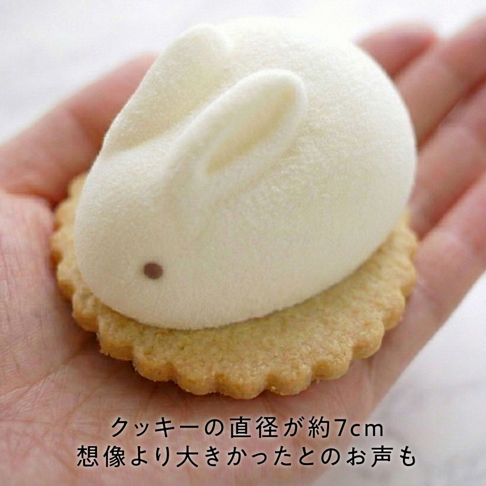 うさもっち 6個ボックス 【おもち専門スイーツMOTCH】 うさぎ チーズ